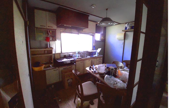 ���C�O�ʐ^4/4