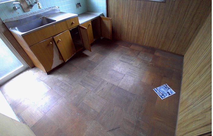 ���C�O�ʐ^3/5