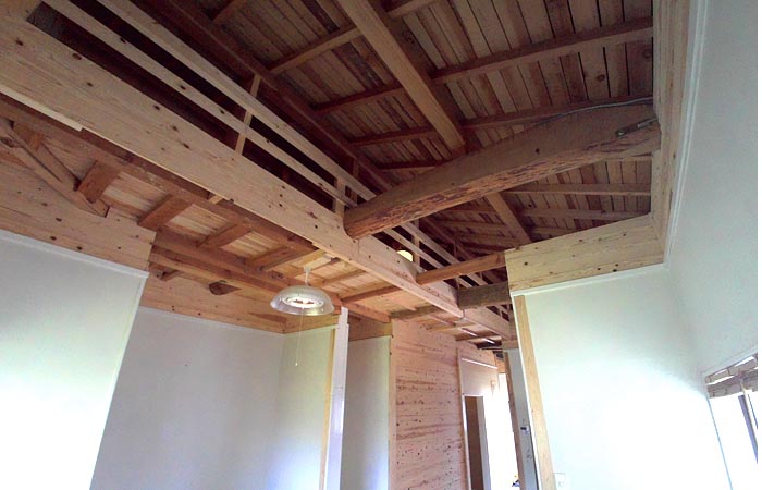 ���C�O�ʐ^4/5